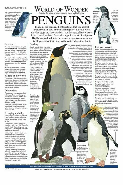 Marin Biologist, Oceanography Marine Biology, Marine Poster, Pergola Planter, Science Infographics, Animal Infographic, Biology Poster, Animals Information, English Conversation