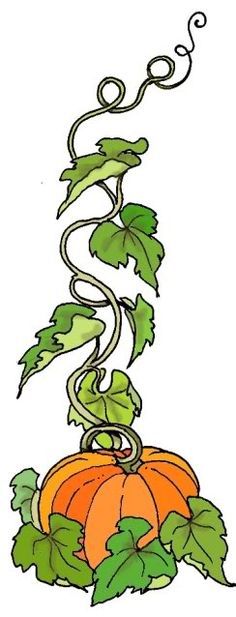 Simple Vine Drawing, Grimms Fairytales, Pumpkin Illustration Halloween, Pumpkin Tattoos, Vine Ideas, Drawing Leaves, Vine Drawing, Pumpkin Vine, Pumpkin Tattoo