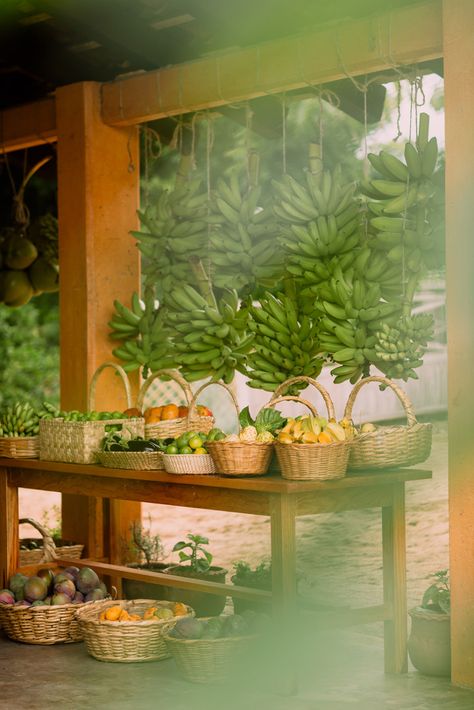 BioDynamic Farming - Cuixmala Tropical Homestead, Biodynamic Farming, Tropical Farm, Vegetable Packaging, Coco Beach, The Hacienda, Urban Homestead, Local Fruit, Natural Homes