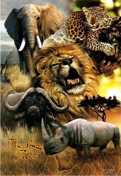 so for Johnny's side, the "big five" would be appropriate. THey're all much bigger critters so the perspective would be tricky.... Africa Tattoos, The Big Five, Visit Africa, Africa Animals, Africa Do Sul, Big 5, Africa Art, African Wildlife, Cross Paintings