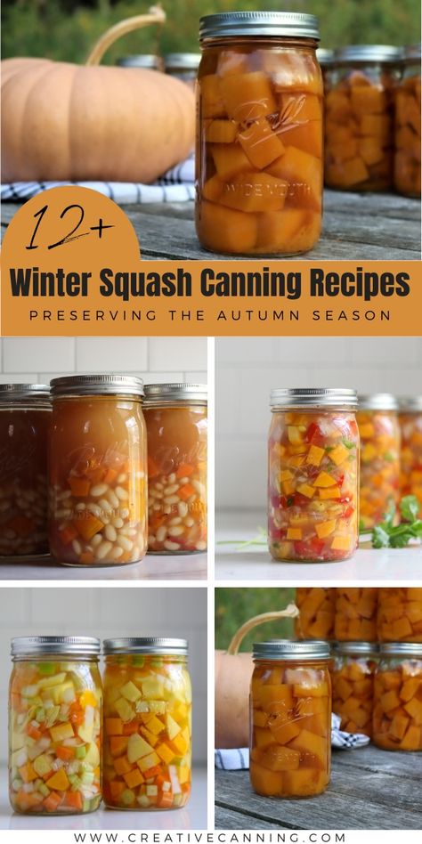 Pumpkin Pickles Recipes For, Canning Cushaw Squash, Preserving Acorn Squash, Canning Pumpkin Recipes, Pumpkin Canning Recipes, Sweet Potato Canning Recipes, Canning Pumpkins, Squash Canning Recipes, Types Of Squash Winter