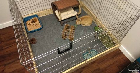 What is the best floor for my bunny enclosure? Indoor Rabbit Enclosure, Indoor Rabbit Run, Rabbit Enclosures, Indoor Bunny House, Bunny Enclosure, Diy Bunny Cage, Indoor Rabbit House, Rabbit Hutch Indoor, Indoor Rabbit Cage