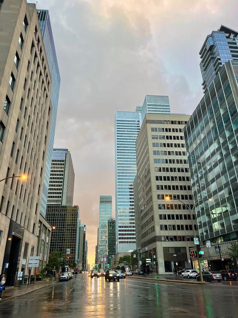 Montreal, dowrowmn place, with a cold weather and pretty colours #montreal #canada #canadatravel #travel #placestovisit #buildings #city Downtown Montreal, Montreal Travel, Canada Montreal, Canada City, Mcgill University, Tall Buildings, Montreal Canada, Fig Tree, American Dream