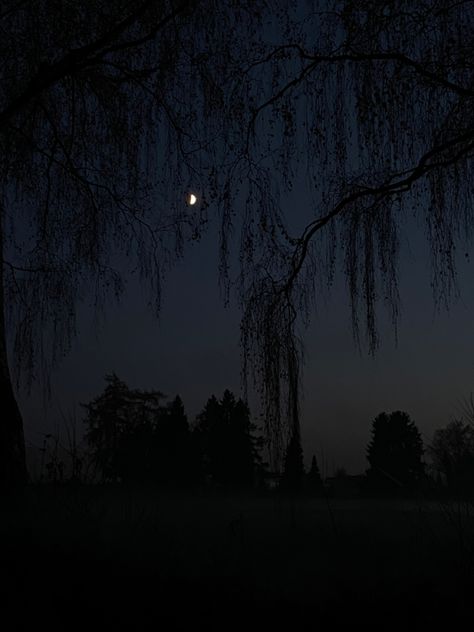 night, tree, dark aesthetic, moon, grunge, dark places Tree Dark Aesthetic, Moon Grunge, Aesthetic Moon, Dark Places, One Tree, Dark Night, Safe Place, Dark Aesthetic, Moon