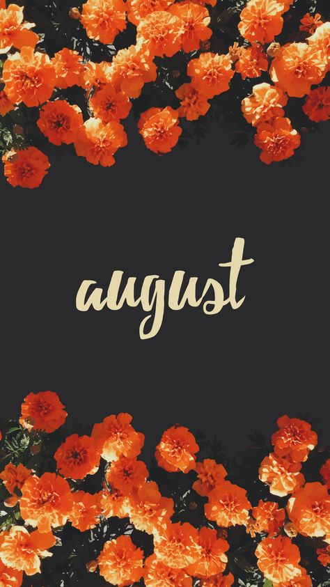 August Wallpaper Explore more 31 Days, August, Gregorian, Holiday, month wallpaper. https://www.whatspaper.com/august-wallpaper-3/ August Wallpaper Aesthetic, August Background, August Wallpaper, August Flowers, August Calendar, Hello August, Calendar Wallpaper, Wallpaper Dekstop, Spring Wallpaper