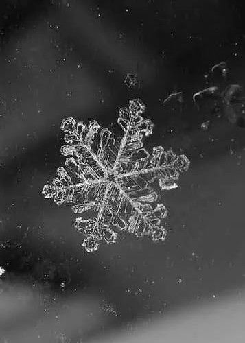 Black Ice Aesthetic, Real Snowflakes Photography, Snowflake Pictures, Snowflake Images, Christmas Christ, Nail Art Pictures, Winter Schnee, Snow Crystal, I Love Winter