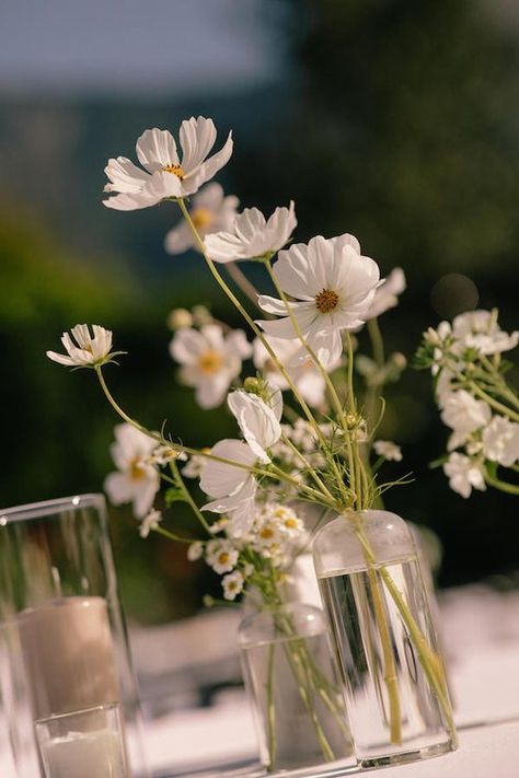 Simplistic Wedding Theme, Bud Vases Wedding Centerpiece White Flowers, Cosmos Bridesmaids Bouquet, Bouquet With Cosmos, Bud Vase With White Flowers, Modern White Flowers Wedding, White Wildflower Centerpieces, Simple Modern Bouquet, Clean Wild Wedding Aesthetic