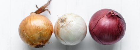 Short Day Onion Varieties for Central Texas: “Short-day” onion varieties quit forming leaves and begin forming bulbs when the day length reaches 10-12 hours, and are best for Southern Gardens. The following varieties have proven to be the best for Central Texas.     1015Y:  This globe-shaped onion up to 6” Types Of Onions, Braised Brisket, Growing Onions, Southern Garden, Homemade Pickles, Vidalia Onions, Spanish Onion, Healthy Snacks For Diabetics, White Onion