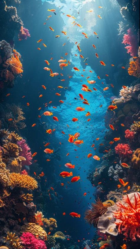 Underwater View of a Coral Reef Teeming With Fish stock photos Coral Photography, Reef Photography, Coral Reef Photography, Vector Mountain, Image Of Fish, Photography Artists, Journal Therapy, Fauna Marina, Fish Species