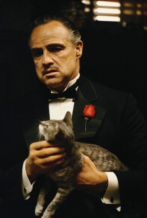 Marlon Brando as Vito Corleone in The Godfather (1972) | Marlon brando the godfather, The godfather, Godfather movie Marlon Brando The Godfather, Movie Canvas Painting, The Godfather Wallpaper, The Godfather Poster, Famous Villains, Corleone Family, Don Vito Corleone, Don Corleone, Godfather Movie