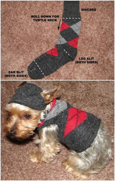 Tiny Dog Sweater Diy Dog Sweater, Dogs Ideas, Diy Animals, Puppy Diy, Dogs Clothes, Diy Dog Toys, Dog Clothes Diy, Diy Socks, Animals Dogs