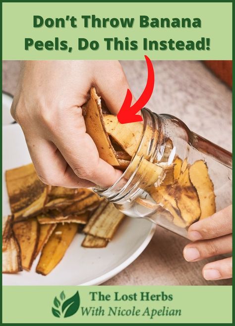 If you throw away the peel after you eat a banana, you should read this. You’ll never do it again! Using Bananas In The Garden, Banana Peel Fertilizer, Banana Peel Uses, Backyard Homesteading, Banana Uses, Banana Peels, Compost Pile, Banana Benefits, Plant Benefits