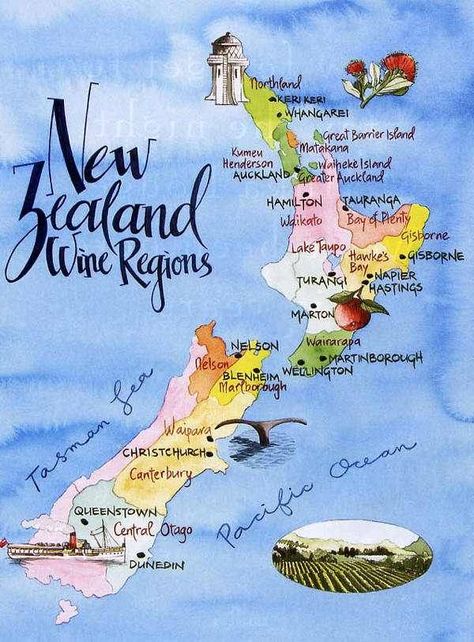 New Zealand Wine, New Zealand Food, New Zealand Travel Guide, Nz Travel, Wine Map, New Zealand Houses, Wine Travel, New Zealand Travel, Boot Camp