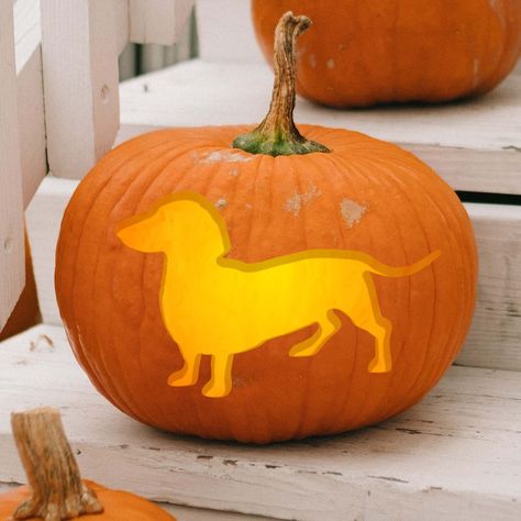 We love our dogs so why not showcase them on your jack-o-lantern this year! This easy stencil features an adorable sausage dog. Printable JPG consists of 1 easy pumpkin carving stencil. If you like this stencil, check out the other pumpkin carving stencil sets from The Printed Pig Workshop. All Stencils: https://www.etsy.com/shop/PrintedPigWorkshop?ref=seller-platform-mcnav&section_id=16027420 Dog Faces Series: Corgi https://www.etsy.com/listing/743446029/2019-exclusive-printable-pumpkin-carving Weenie Dog Pumpkin Carving, Dachshund Pumpkin Carving, Dachshund Pumpkin, Pumpkin Carving Dachshund, Sausage Dog Pumpkin Carving, Weiner Dog Pumpkin Carving, Wiener Dog Pumpkin Carving, Weiner Dog Pumpkin, Easy Carving Ideas