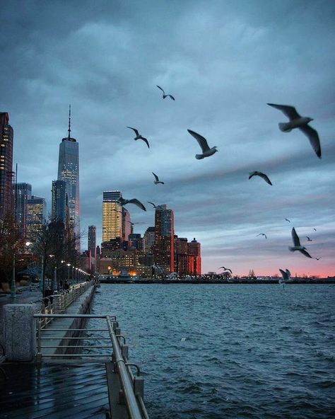 Ney York City, New York Harbor, Downtown Manhattan, Dream City, City Photography, Big City, City Aesthetic, New York State, City Travel