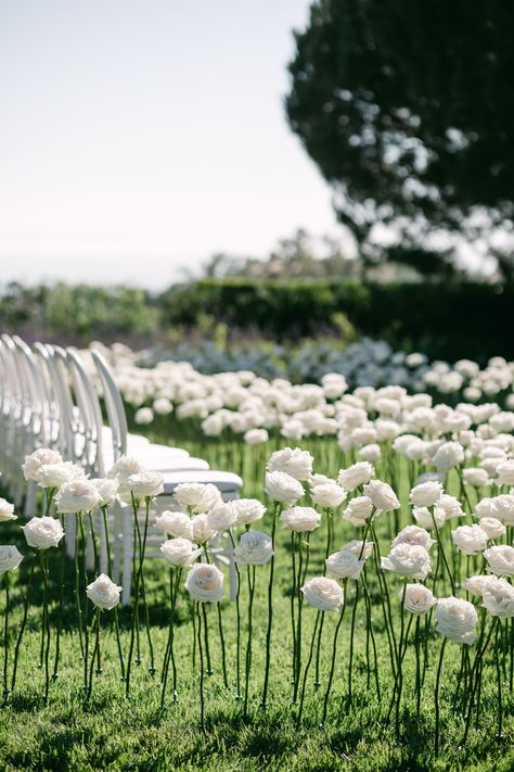 Haley + Eric's luxe Newport Coast wedding ceremony was adorned with the most stunning floral installation any aisle has ever seen. Go check out the blog post for more photos to drool over. Blooming Aisle Wedding, Wedding Runway Aisle Outdoor, Wedding Flower Pathway, Flower Arch Wedding Hydrangeas, White Tulip Wedding Aisle, Aile Decorations Wedding Outdoor, White Wedding Outdoor, White Garden Wedding Decor, White Rose Wedding Aisle Decor