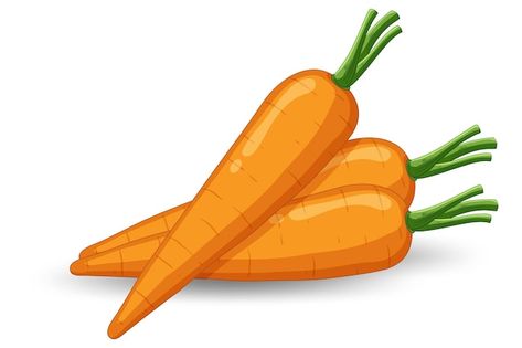 Free vector isolated orange carrot carto... | Free Vector #Freepik #freevector #food-clipart #cartoon-drawing #art #cartoon-svg Carrots Drawing, Carrot Clipart, Carrot Cartoon, Carrot Drawing, Eid Mubarak Greeting Cards, Insect Collection, Food Clipart, Cartoon Svg, Information Poster