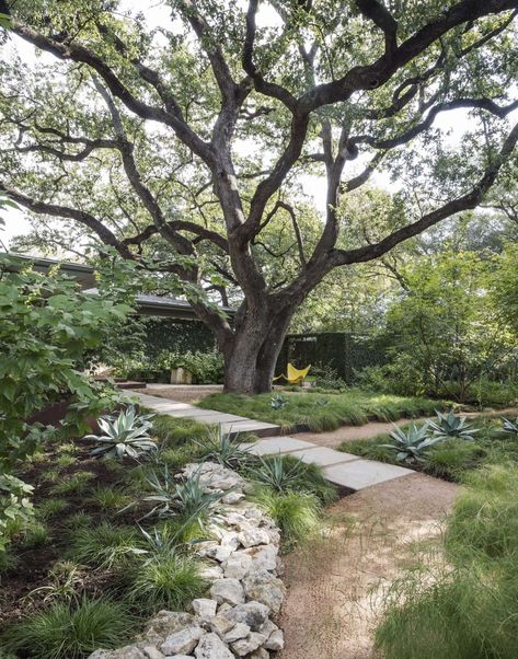 Low-Cost Luxury: 9 Ways to Use Decomposed Granite in a Landscape - Gardenista Landscape Edging Stone, Landscape Pavers, Drought Tolerant Garden, Modern Front Yard, Matthew Williams, Dry Garden, Front Yard Design, Specimen Trees, Landscape Edging