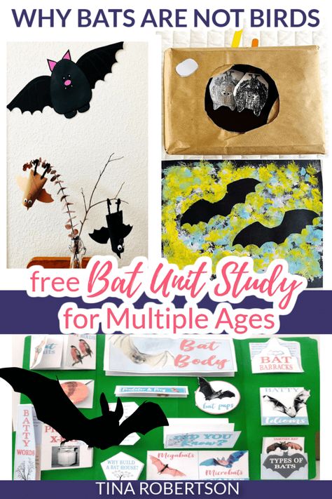 Bats Science Activities, Bat Unit Study Free, Homeschool Bat Unit, Bat Steam Activities, October Unit Study, Bats Activities For Kids, Bat Unit Kindergarten, Halloween Homeschool Lessons, Bat Habitat Projects For Kids