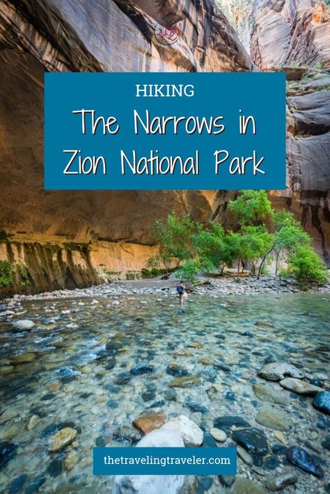 Zion Hikes, Narrows Zion National Park, Hiking The Narrows, The Narrows, Zion Canyon, Zion National Park Utah, National Park Photos, Fine Art Landscape Photography, Utah Travel