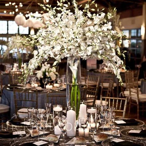 Need wedding ideas? Check out this tall floral centerpieces and see more inspirational photos on TheKnot.com. White Wedding Flowers Centerpieces, Tall Wedding Centerpieces, White Centerpiece, Wedding Floral Centerpieces, Tall Centerpieces, Inexpensive Wedding, Wedding Centerpieces Diy, White Wedding Flowers, Flower Centerpieces Wedding