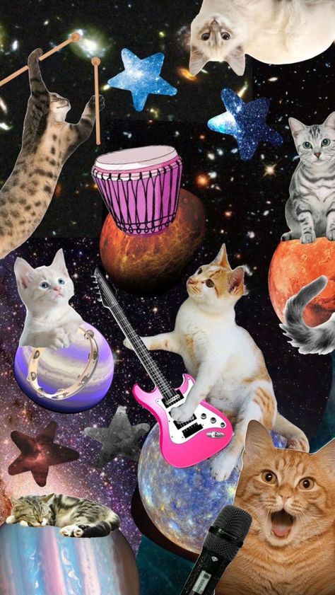 Space Cats Wallpaper, Silly Cat Wallpaper, Cats In Space, Wallpaper Gatos, Wallpaper Cat, Cocoppa Wallpaper, Cat Anime, House Cat, Cool Backgrounds Wallpapers