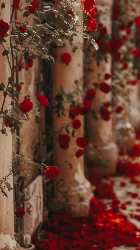 Aesthetic Red Rose Wallpaper, Red Flowers Aesthetic Wallpaper, Red Royalcore, Red Roses Wallpaper Aesthetic, Red Romantic Aesthetic, Red Tumblr Aesthetic, Red Princess Aesthetic, Rose Petals Aesthetic, Soft Red Aesthetic Wallpaper