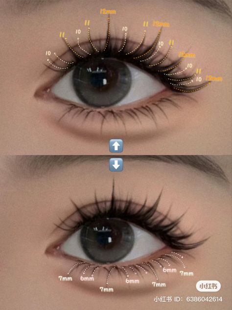 Korean Lashes, Manhua Lashes, Douyin Beauty, Marcille Donato, Forklift Certified, Lash Maps, Lashes Fake Eyelashes, Lash Extensions Makeup, Lashes Extensions