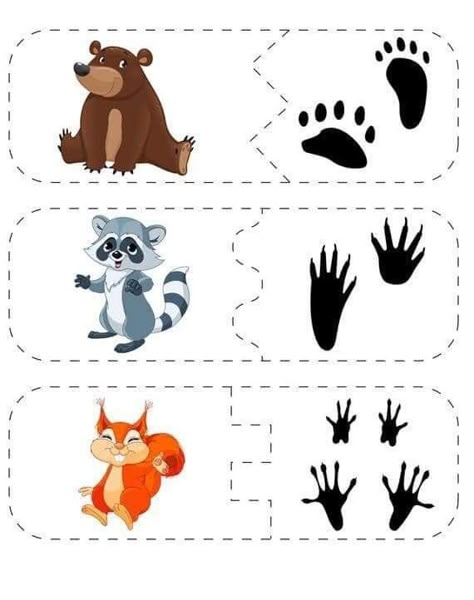 Polar Bear Craft, Animal Footprints, Abc Activities, Shapes Preschool, Animal Tracks, Nocturnal Animals, Animal Groups, Creative Activities For Kids, Camping Theme