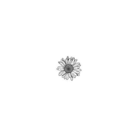 Small First Tattoos, Small Daisy Tattoo, Sunflower Tattoo Simple, Flowers Doodle, Tumblr Transparents, Daisy Tattoo, Small Flower Tattoos, Inspiration Tattoos, Sunflower Tattoos