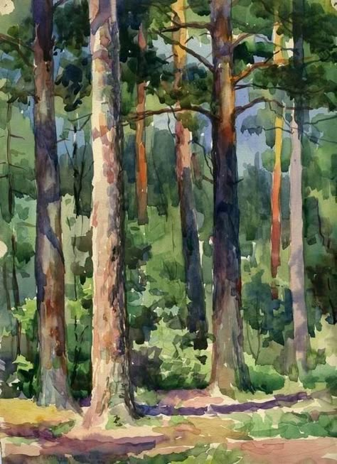 Pine Forest Watercolor, How To Paint Forest Trees, Forest Trees Painting, Tree Forest Painting, Pine Forest Painting, Watercolor Forest Landscape, Watercolour Forest, 자작나무 그림, Forest Oil Painting