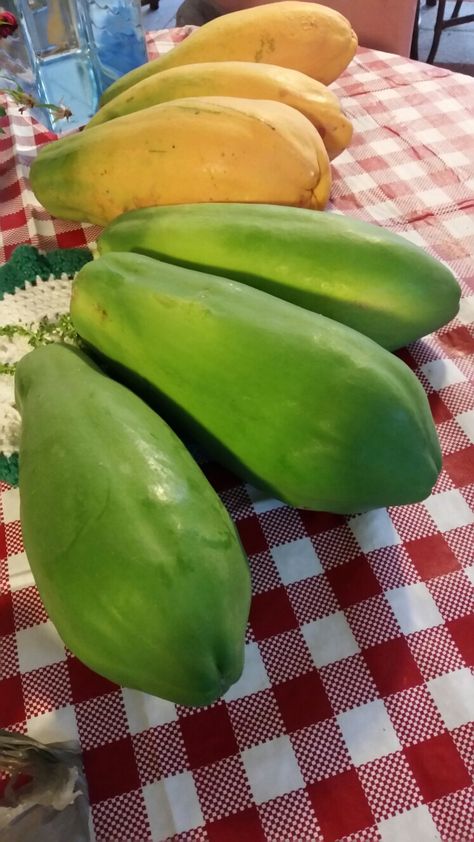 From my papaya tree Papaya Tree, Beautiful Fruits, Papaya, Philippines, Watermelon, Fruit, Quick Saves