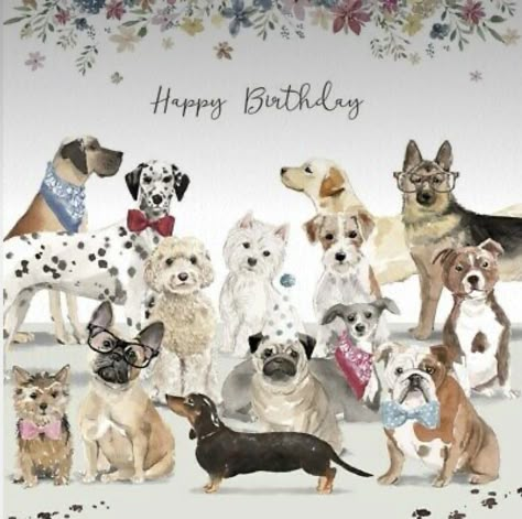 Dog Birthday Greetings, Happy Birthday Dogs Wishes, Happy Birthday With Dogs, Happy Birthday Dogs, Dog Birthday Wishes, Dog Birthday Cards, Dog Happy Birthday, Animal Birthday Card, Birthday Dogs