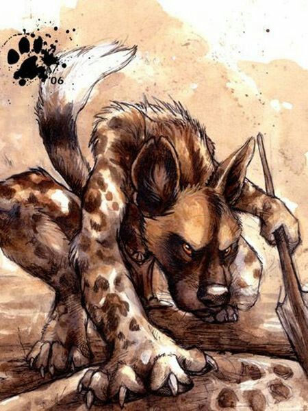 Lab Concept Art, African Painted Dog, Beast Reference, African Dog, World Concept Art, Mlp Anthro, Zootopia Characters, Painted Dog, African Wild Dog