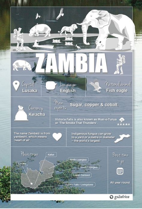 Zambia Travel, Zambia Safari, Zambia Africa, Country Information, Chobe National Park, Travel Infographic, African Travel, Africa Destinations, Livingstone