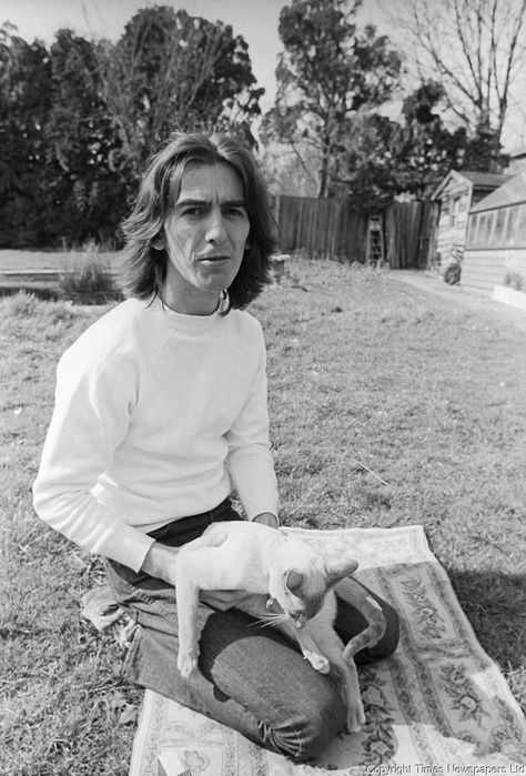 george-harrison-april-1969-15 George Beatles, Celebrities With Cats, Men With Cats, Beatles George Harrison, Beatles George, Beatles Photos, Beatles John, The Fab Four, I'm With The Band