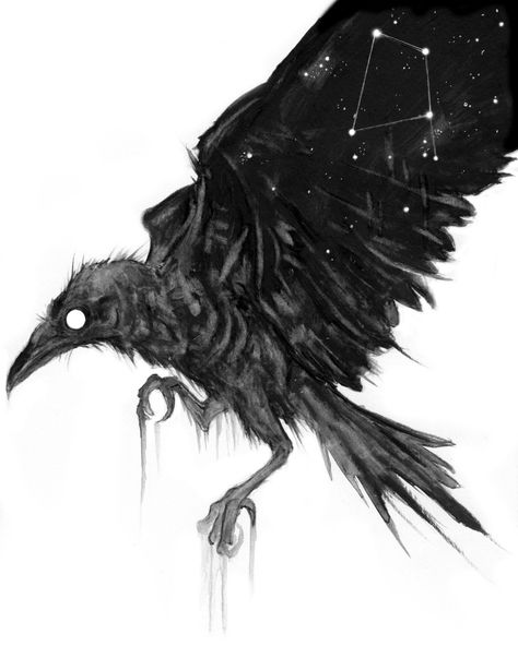 Brian Serway, Raven Illustration, Creepy Animals, Space Animals, Scary Animals, Black Watercolor, Draw Animals, Crow Art, Raven Art