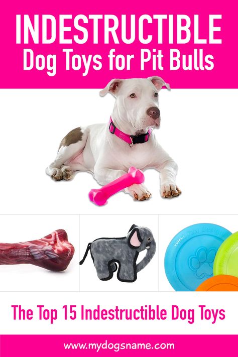 Our guide to the top 15 indestructible dog toys for Pit Bulls is exactly what you need if your Pitty loves to pull apart its toys!   From extra strong chew toys to ultra durable dog balls to soft but virtually undestroyable stuffed animals, our list of indestructible dog toys for Pit Bulls has something for every Pitty out there.   The products on this list have been specifically designed for dogs who don’t play nicely with their toys. Toys For Big Dogs, Diy Dog Toys For Heavy Chewers, Put Bull Puppies, Toys To Keep Dogs Busy, American Bully Accessories, Dog Boredom Buster, Strong Dog Toys, Dog Boredom, Outdoor Dog Toys