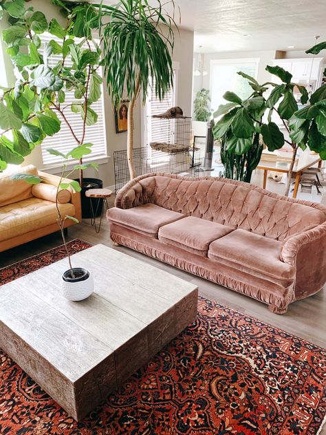 Pink Velvet Couch Living Room, Pink Vintage Couch, Velvet Couch Living Room, Pink Velvet Couch, Eclectic French Country, Pink Velvet Sofa, Pink Couch, Vintage Couch, Velvet Sectional