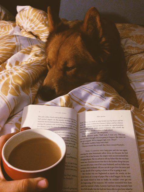 Dogs And Books Aesthetic, Bookish Astethic, Reader Aesthetic Girl, Book Reader Aesthetic, Reading Lounge, Coffee And A Book, Athena Aesthetic, Reader Aesthetic, Angel Books