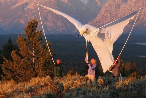 Make Your Own Giant Peace Dove Puppet Made entirely out of reused materials, these Giant Peace Dove Puppets make a… Bird Puppet, Puppetry Theatre, Puppet Theaters, Peace Day, Day Of Peace, Reused Materials, International Day Of Peace, Puppets Diy, Moving Overseas