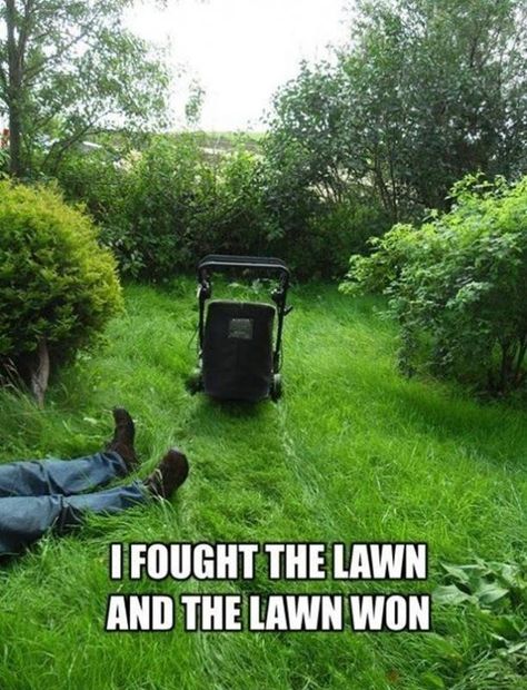 I fought the lawn and the lawn won | 30 Gardening Memes That Will Make You Want to Garden Right Now #gardening #lawncare #memes Lawn Care Humor, Gardening Memes, Gardening Humor, Lawn Service, Funny Captions, Yard Work, Work Humor, Work Quotes, The Grass