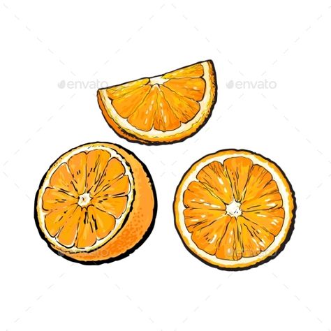 Set of realistic colorful hand drawn half, slice and segment of ripe, juicy orange, sketch vector illustration isolated on white b Rainbow Fruit Tray, Orange Sketch, Assorted Fruits, Fruit Sketch, Fruit Tattoo, Juicy Orange, Fruit Illustration, Orange Art, Fruit Art