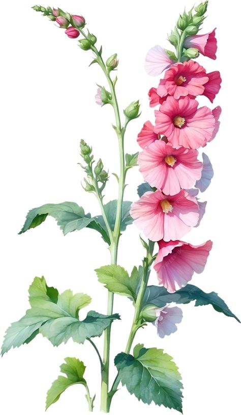 Hollyhocks Flowers, Instruções Origami, Watercolor Projects, Watercolor Flower Art, Art Painting Gallery, Flower Art Images, Geometric Art Prints, Watercolor Art Lessons, Botanical Painting