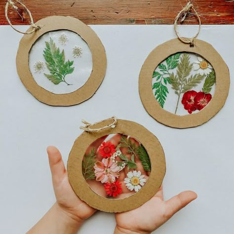 Homemade Cardboard and Nature Ornaments • Little Pine Learners Tre Kunst, Holiday Traditions Family, Pressed Flower Crafts, Paper Towel Roll Crafts, Toddler Art, Paper Towel Rolls, Nature Crafts, Preschool Art, Pressed Flower