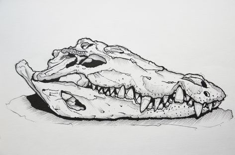 Crocodile Skeleton Tattoo, Crocodile Skull Drawing, Alligator Skull Drawing, Animal Skulls Tattoo, Gator Skull Tattoo, Crocodile Skull Tattoo, Animal Skull Drawing Sketches, Animal Bones Tattoo, Alligator Skull Tattoo