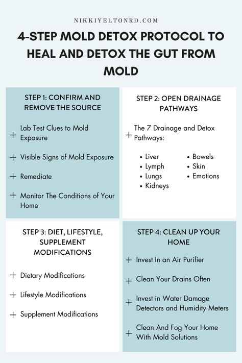 Mold Detox Protocol, Chronic Disease Management, Mold Exposure, Holistic Diet, Gut Health Recipes, Leaky Gut, Gut Healing, Wellness Inspiration, Abdominal Pain