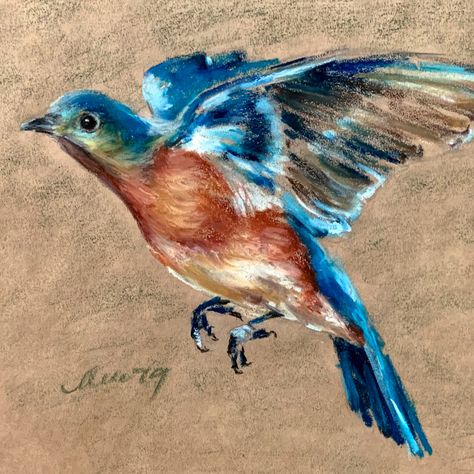 Flying Eastern Bluebird Oil Pastel Drawing by StudioMuura .
     📐 Size Painting: 8'' x 12''.
🎨 Original drawing is on a kraft paper. Oil pastel. 
     ✍ Signed, dated, and titled on back. 
💥 This is not a print. 
      This original painting is presented exclusively in one copy. 
      One of a kind. Oil Pastel Bird, Bluebird Flying, Bluebird Painting, Fly Drawing, Eastern Bluebird, Oil Pastel Paintings, Flying Bird, Oil Pastel Drawings, Pastel Drawing