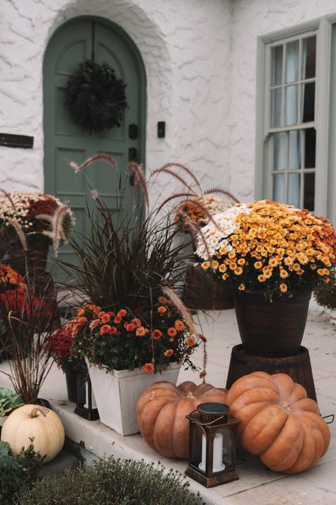 Craftsman Front Porch Fall Decor, French Fall Front Porch Decor Ideas, Antique Fall Porch Decor, Fall Front Stoop Decor, Fall Porch Plants, Southern Fall Front Porch Decor, Fall Decor Front Porch Entryway, Fall Front Yard Decorations, Mums Front Porch Fall Displays