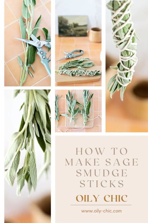 How To Make Sage Smudge Sticks For A Smudging Ritual Smudge Sticks Diy, Smudging Ritual, Native American Rituals, Sage Smudge Sticks, Diy Soap Bars, Harvesting Herbs, Sage Smudging, Native American Traditions, Sage Smudge